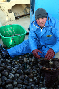 写真：極寒の船上でホッキガイを選別する小向義昭さん