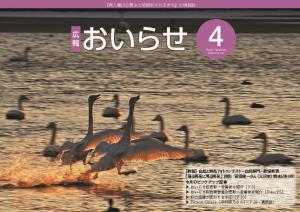 広報おいらせ2019年4月号表紙