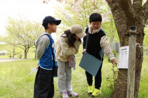 春の親子追跡ハイキング