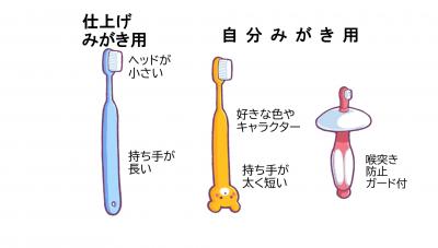歯ブラシの種類を比較した画像です