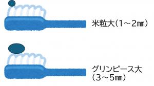 歯磨き粉の量を示したイラストです