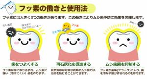 フッ素の働きと使用法